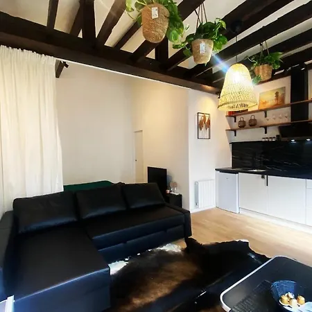 Le Palmier - Private Holiday home Maisons-Alfort