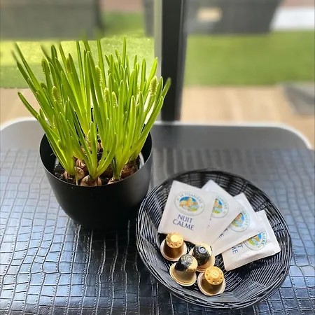 Le Palmier - Private ميزو الفورْ