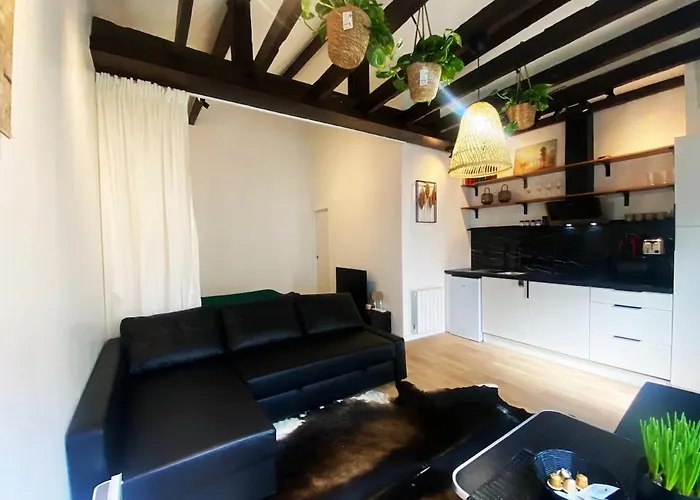 Le Palmier - Private Casa de Férias Maisons-Alfort