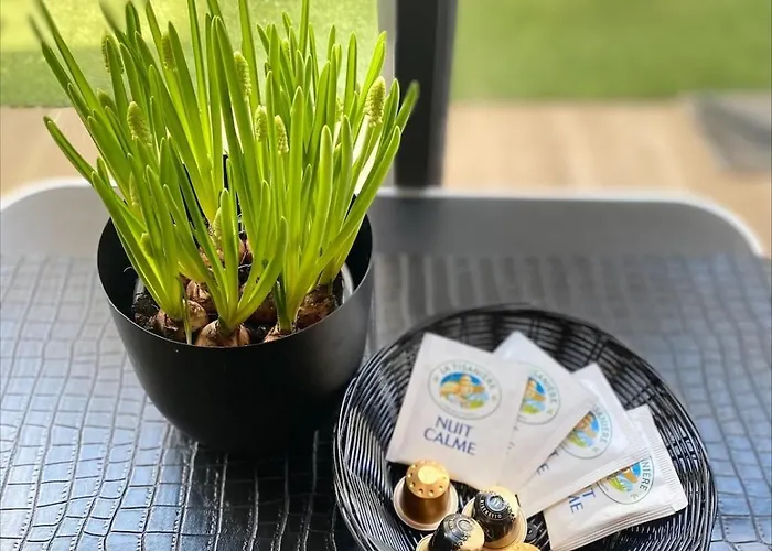 Le Palmier - Private Maisons-Alfort